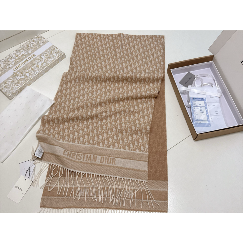 Dior Kaschmir Schal